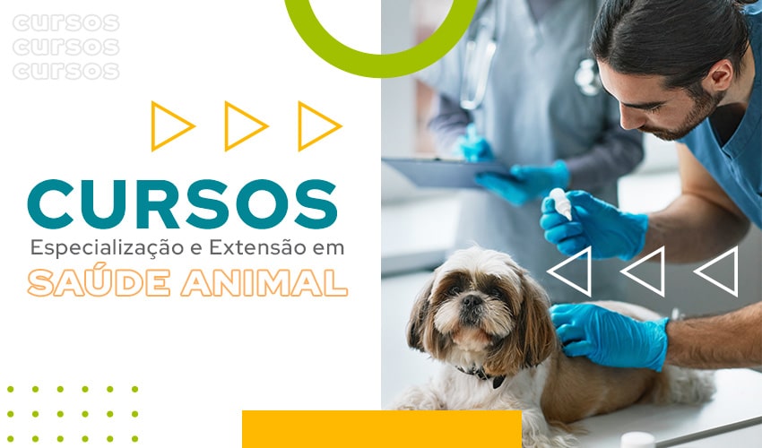 faculdade-ranvier-medicina-veterinaria.jpg
